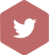 twitter integration